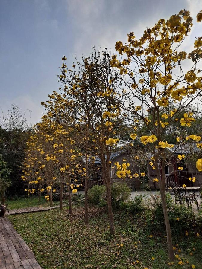 Appartement Pas-Taai Leisure Farm à Nanzhuang Extérieur photo